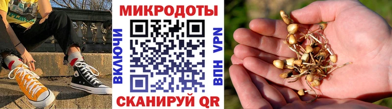 наркошоп Южно-Сухокумск Галлюциногенные грибы Psilocybine cubensis